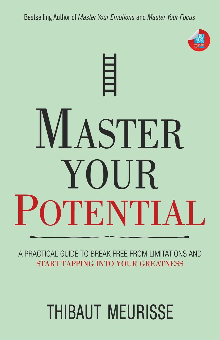 Master Your Potential : A Practical Guide to Break Free from Limitations and Start Tapping Into Your Greatness | Thibaut Meurisse