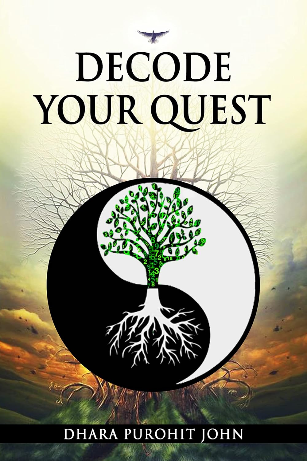 Decode Your Quest | Dhara Purohit John