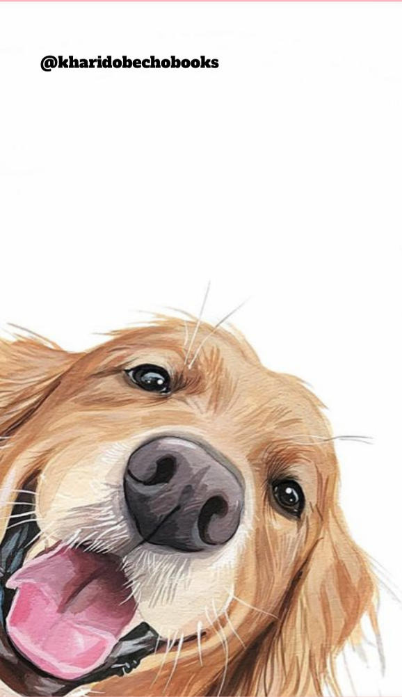 Magnetic Bookmark | Corgi Puppy | kharidobechoBooks