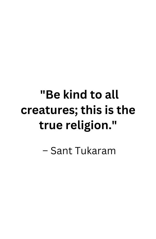 Magnetic Bookmark | Sant Namdev | KharidobechoBooks