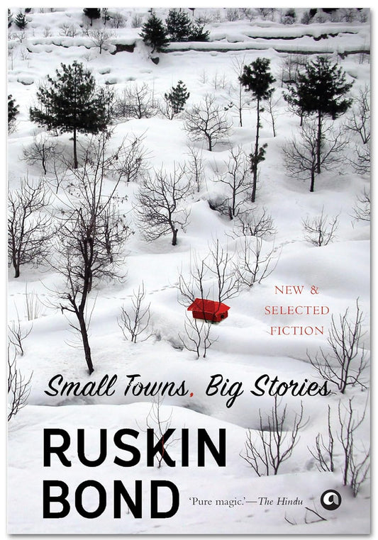 Small Towns, Big Stories | Ruskin Bond | Best Seller