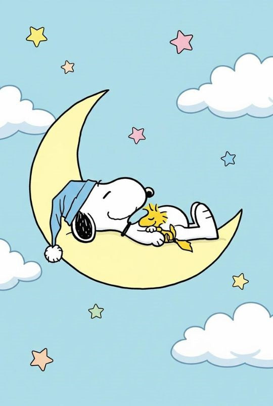 Magnetic Bookmark | Snoopy Sleeping | KharidobechoBooks