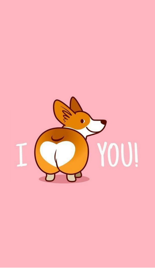 Magnetic Bookmark | Corgi Puppy | kharidobechoBooks