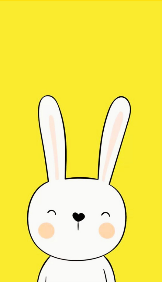 Magnetic Bookmark | Miffy | kharidobechoBooks