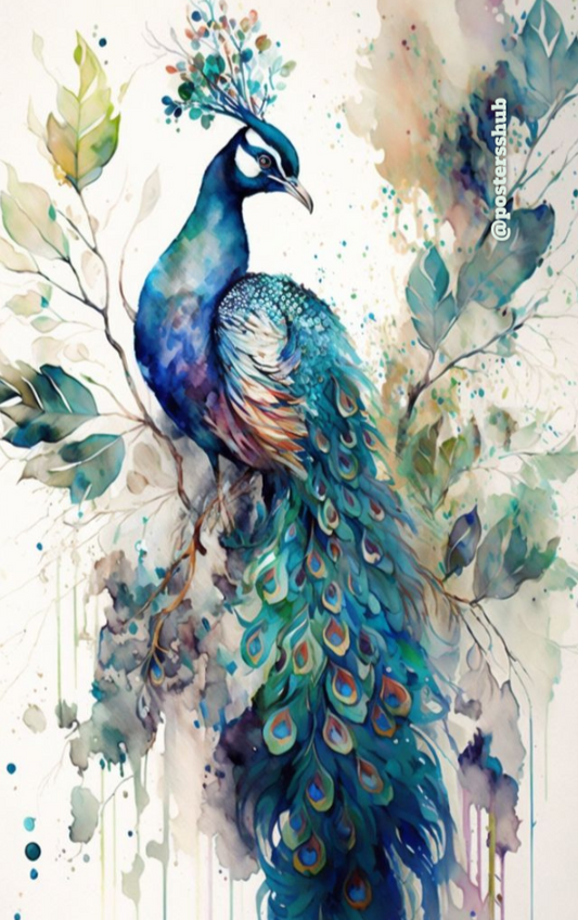 Magnetic Bookmark | Peacock | KharidobechoBooks