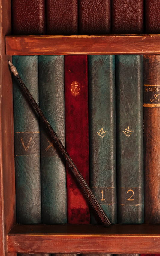 Magnetic Bookmark | book shelf | KharidobechoBooks