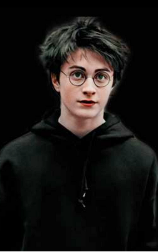 Magnetic Bookmark | Harry Potter with character | KharidobechoBooks
