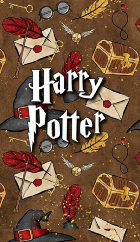 Magnetic bookmark | Harry Potter | kharidobecho books