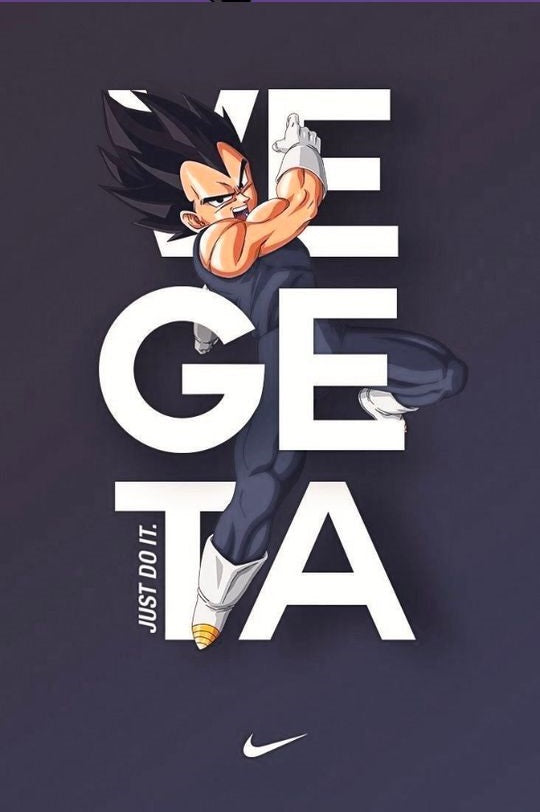 Magnetic Bookmark | Vegeta | KharidobechoBooks