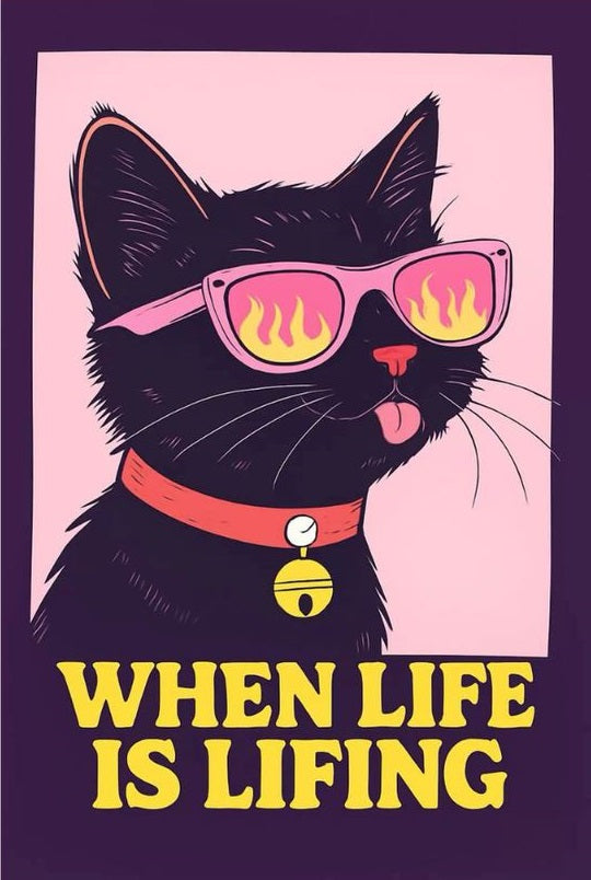 Magnetic Bookmark | Rocking Cat | KharidobechoBooks
