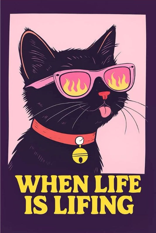 Magnetic Bookmark | Rocking Cat | KharidobechoBooks