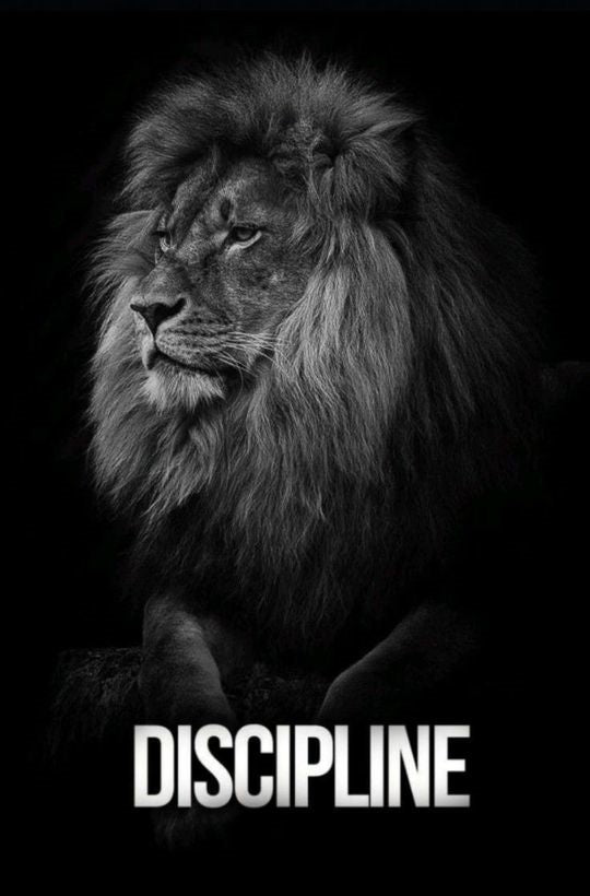 Magnetic Bookmark | Lion Discipline | KharidobechoBooks