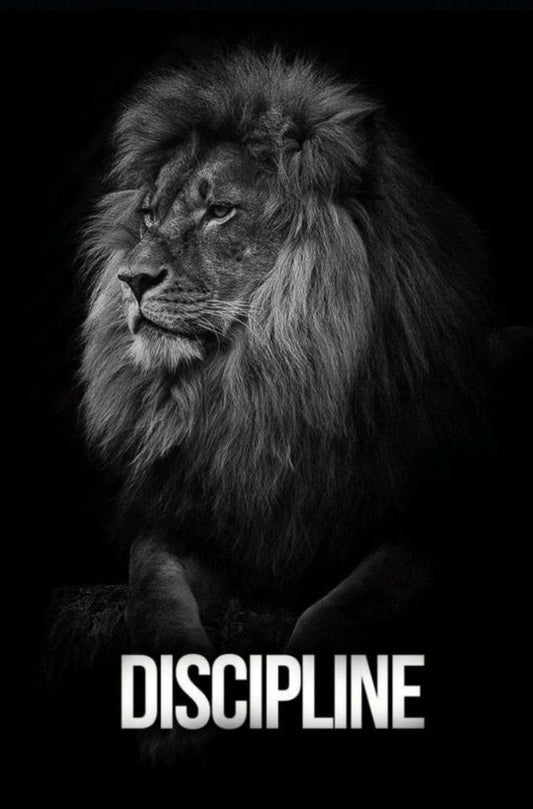 Magnetic Bookmark | Lion Discipline | KharidobechoBooks