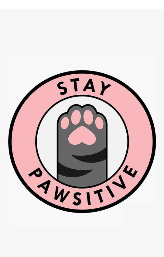 Magnetic Bookmark | Stay Pawsitive | KharidobechoBooks