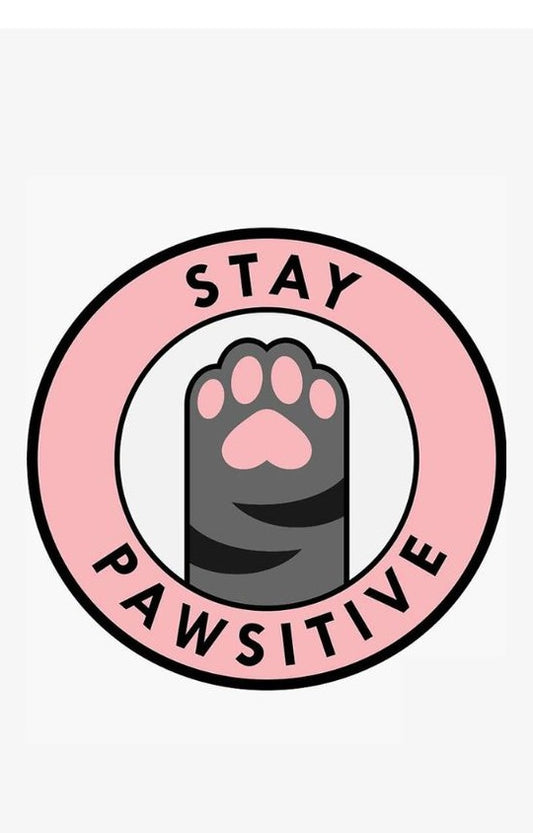 Magnetic Bookmark | Stay Pawsitive | KharidobechoBooks